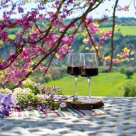 I Sicomori - Seme Di Carota - Glamping E Appartamenti Con Piscina A Saturnia Εξωτερικό φωτογραφία