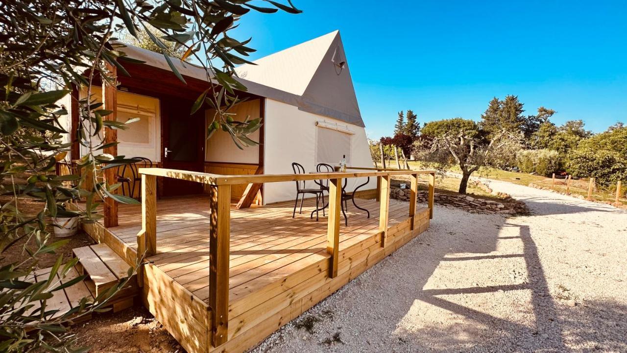 I Sicomori - Seme Di Carota - Glamping E Appartamenti Con Piscina A Saturnia Εξωτερικό φωτογραφία
