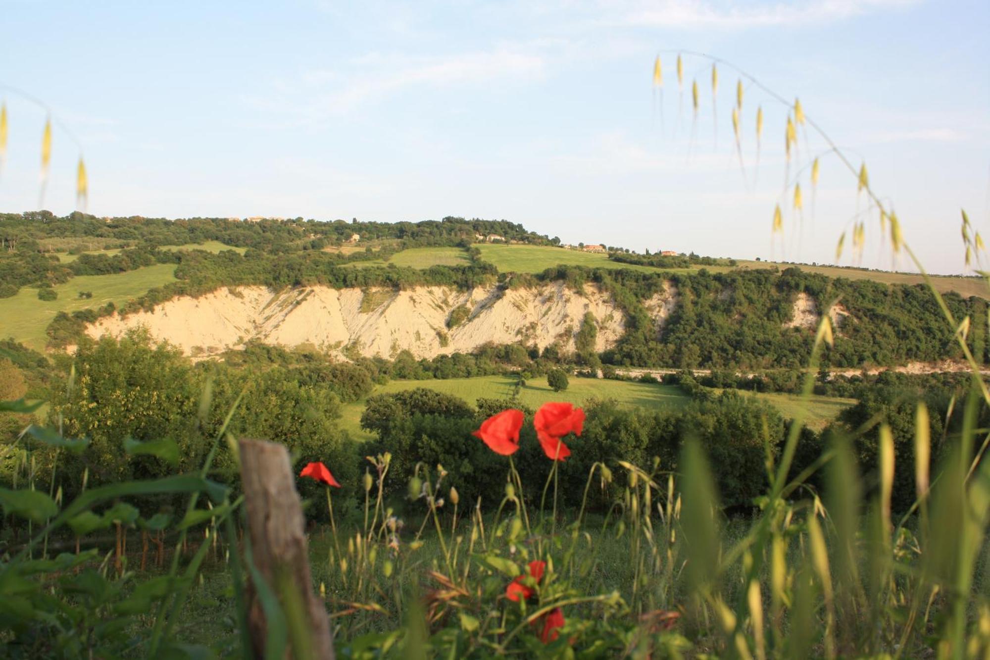 I Sicomori - Seme Di Carota - Glamping E Appartamenti Con Piscina A Saturnia Εξωτερικό φωτογραφία