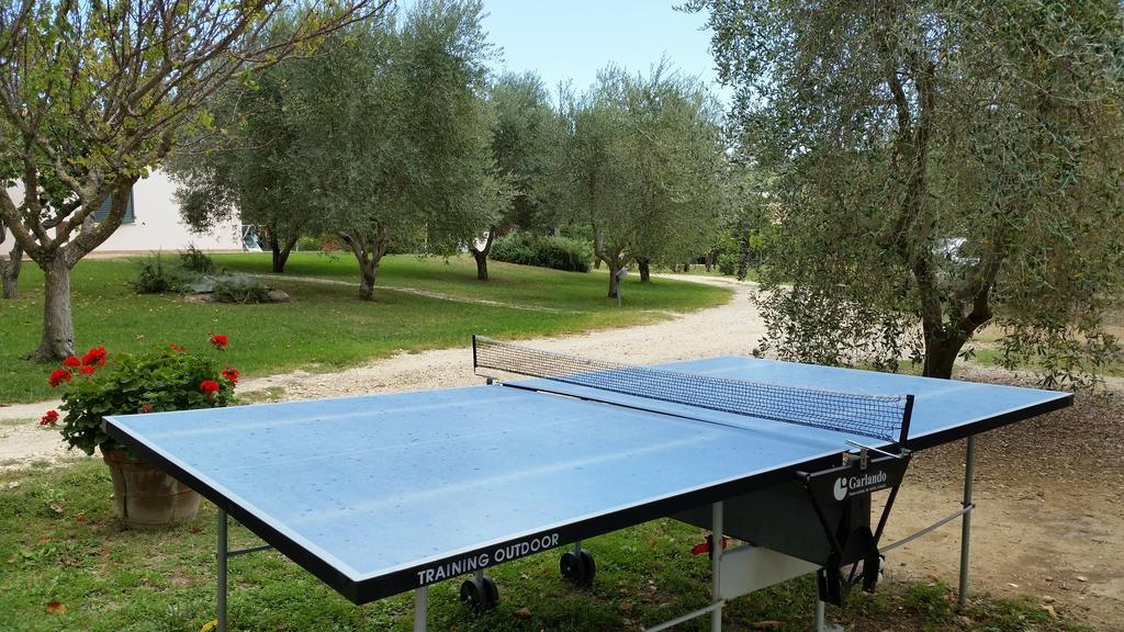 I Sicomori - Seme Di Carota - Glamping E Appartamenti Con Piscina A Saturnia Εξωτερικό φωτογραφία
