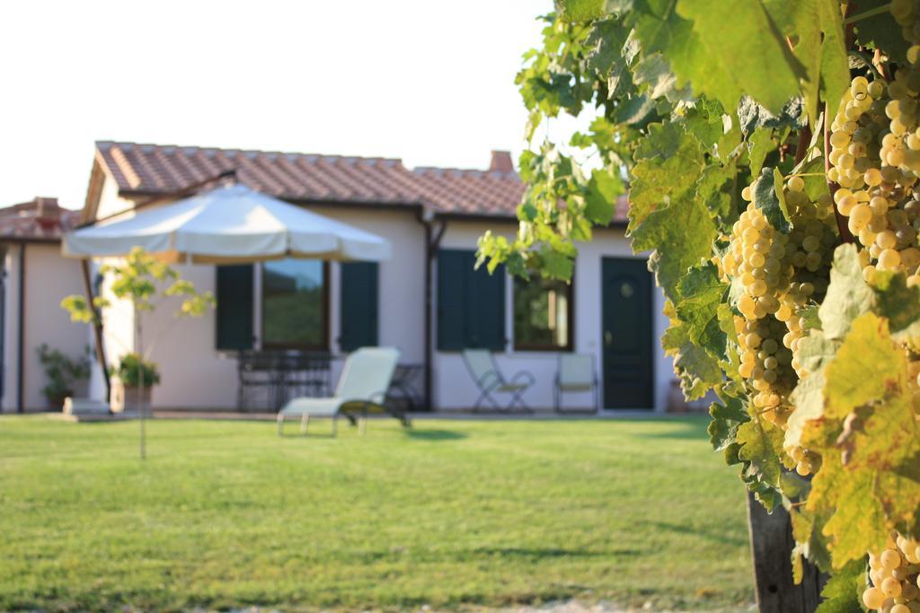 I Sicomori - Seme Di Carota - Glamping E Appartamenti Con Piscina A Saturnia Εξωτερικό φωτογραφία